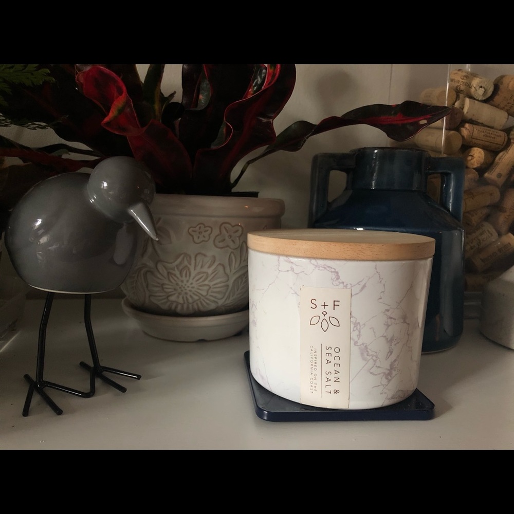 S+ F (Sand + Fog) Home Candle - Ocean & Sea Salt